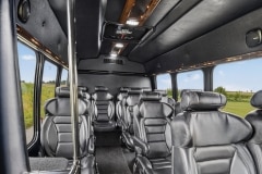 12 Passenger Executive Vehicle